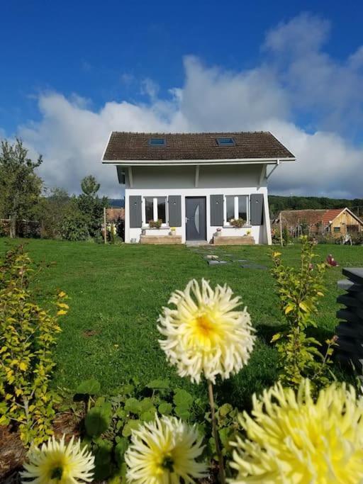 Gite Le Charmot, Au Pied Des Montagnes Classe 3* Roderen Exterior foto