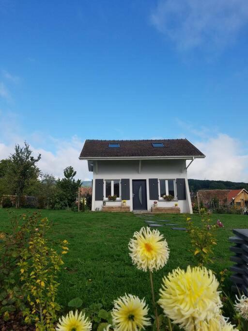 Gite Le Charmot, Au Pied Des Montagnes Classe 3* Roderen Exterior foto