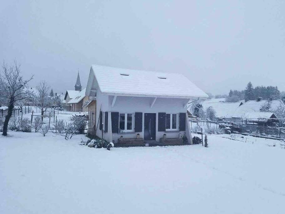 Gite Le Charmot, Au Pied Des Montagnes Classe 3* Roderen Exterior foto